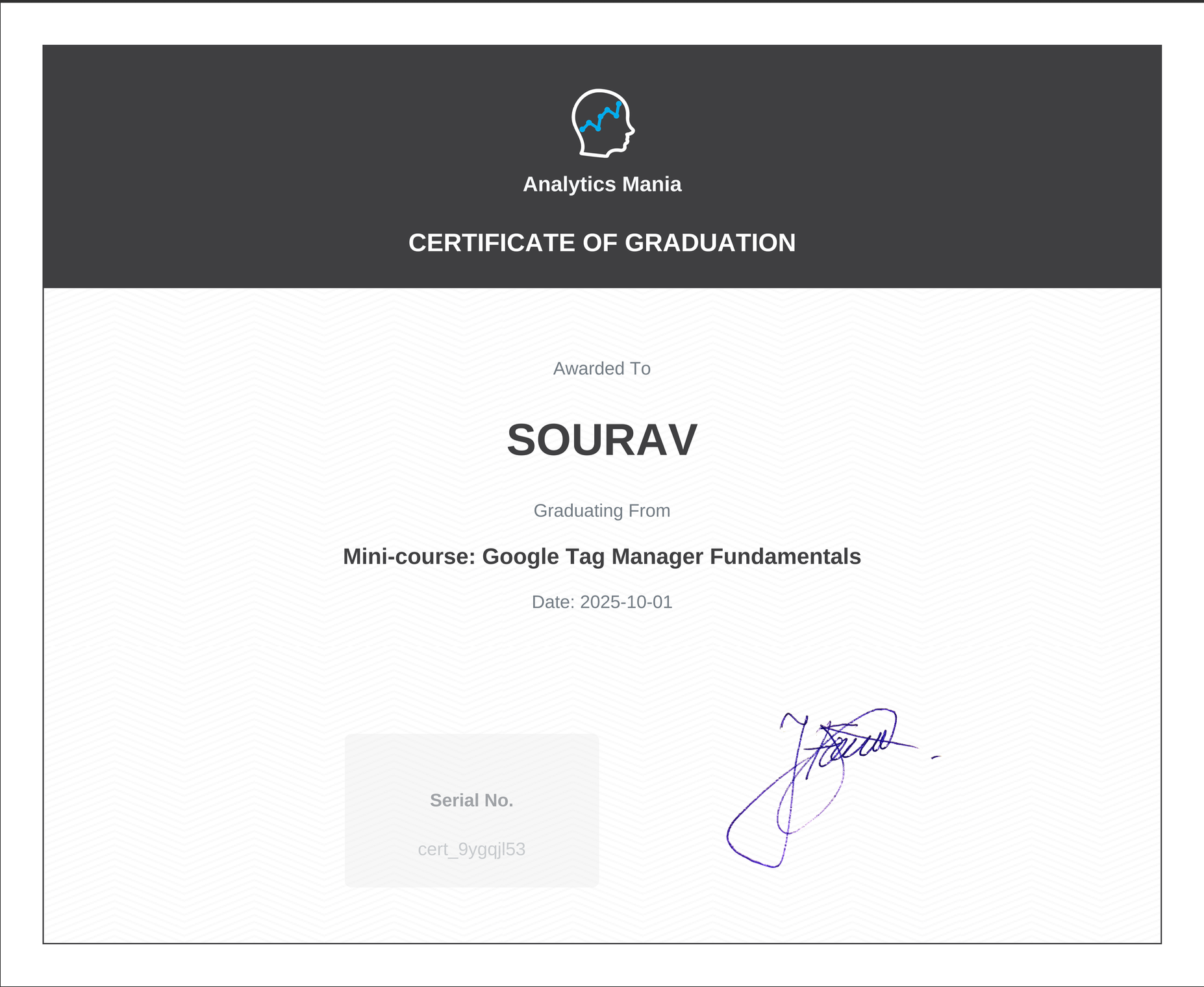 Analytics Mania, Google Tag Manager Fundamentals certificate